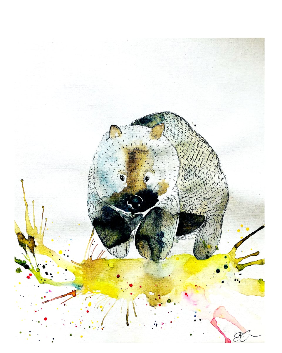 Mr Grace  Image: Australian Wombat