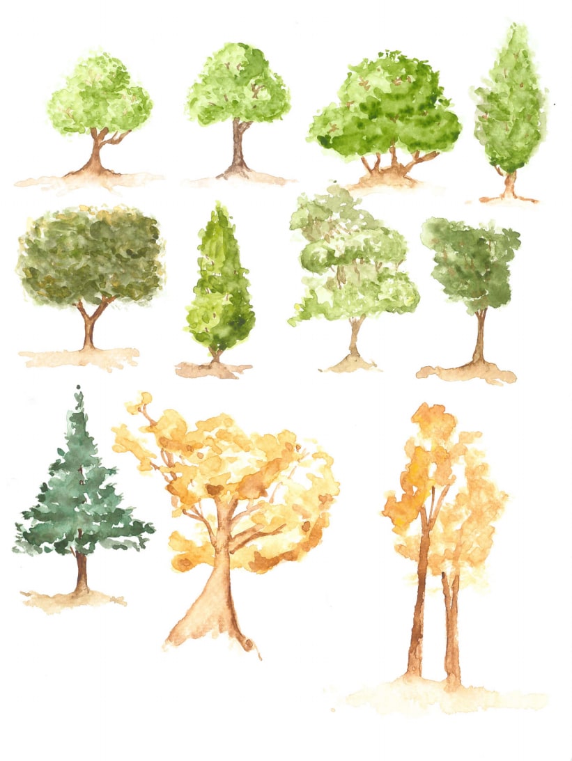 Tree Study by Jairus Bilo, Image 1.
