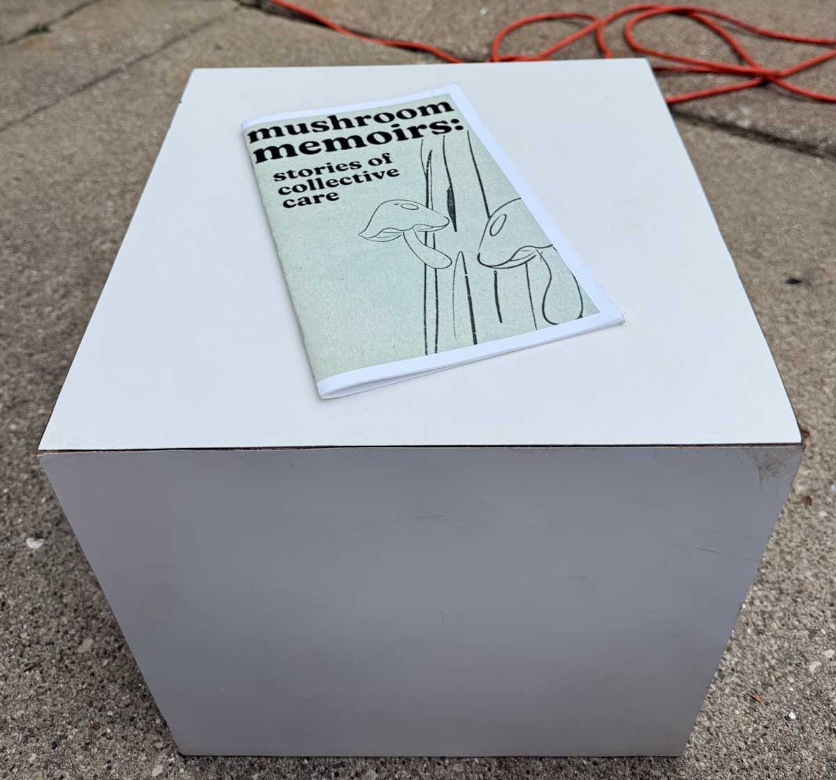 Mushroom Memoirs: Stories of Collective Care by Alexandria Knapik 