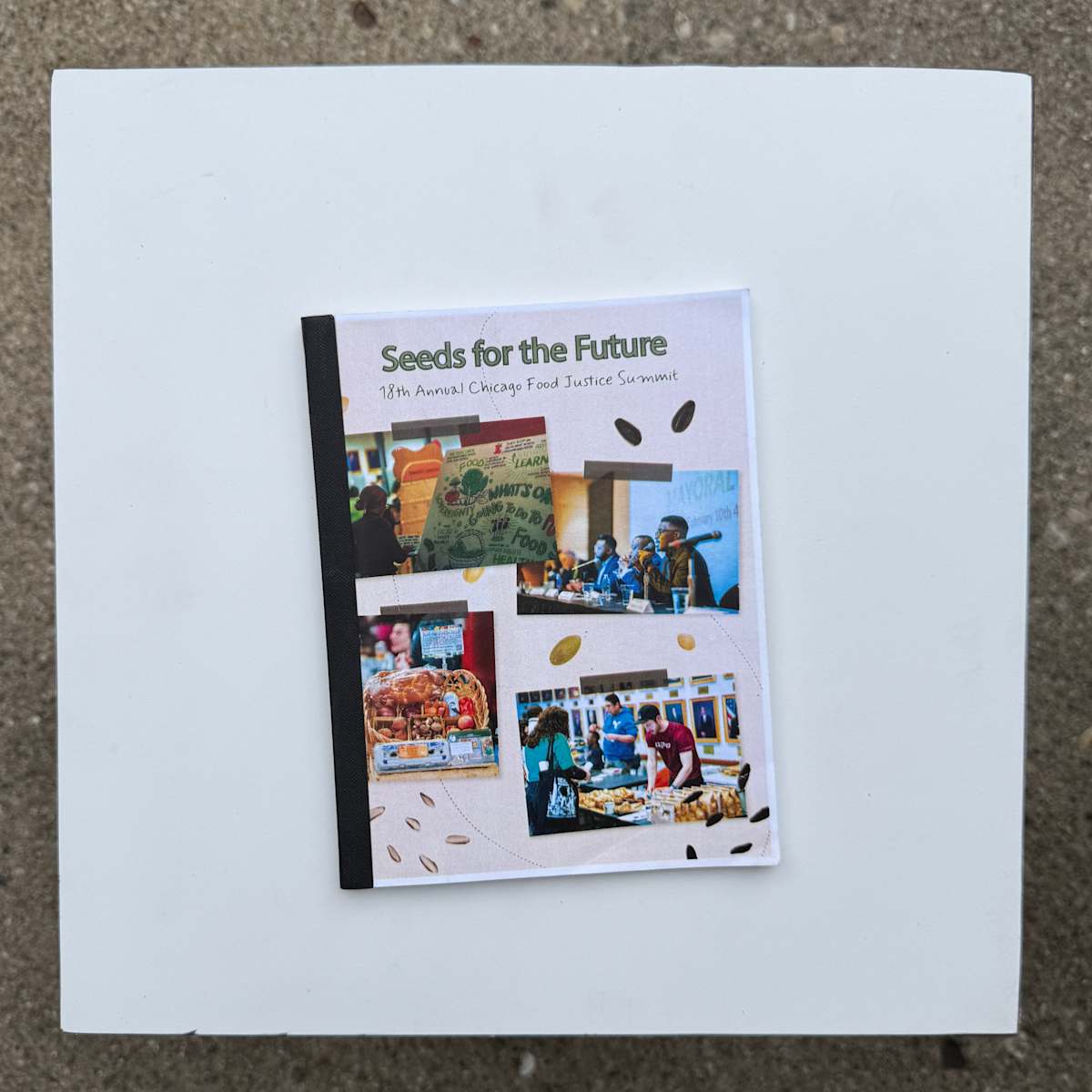 Seeds for the Future: 18th Annual Chicago Food Justice Summit by Alexandria Knapik, Image 12.