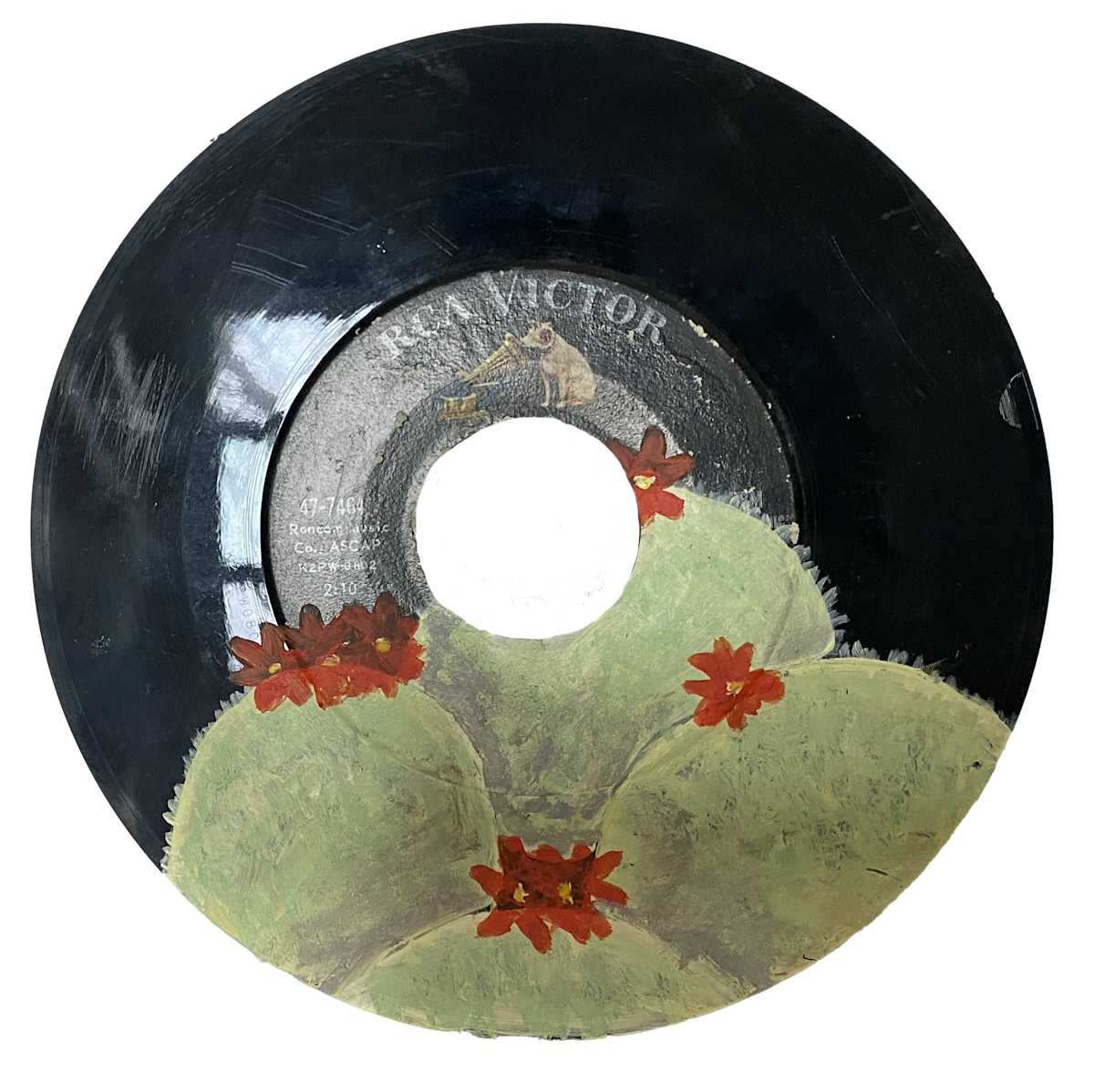 Cactus, Image 6.