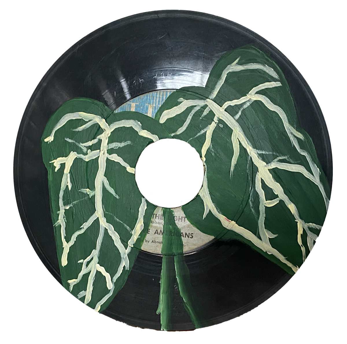 Nerve Plant Leaves, Image 11.