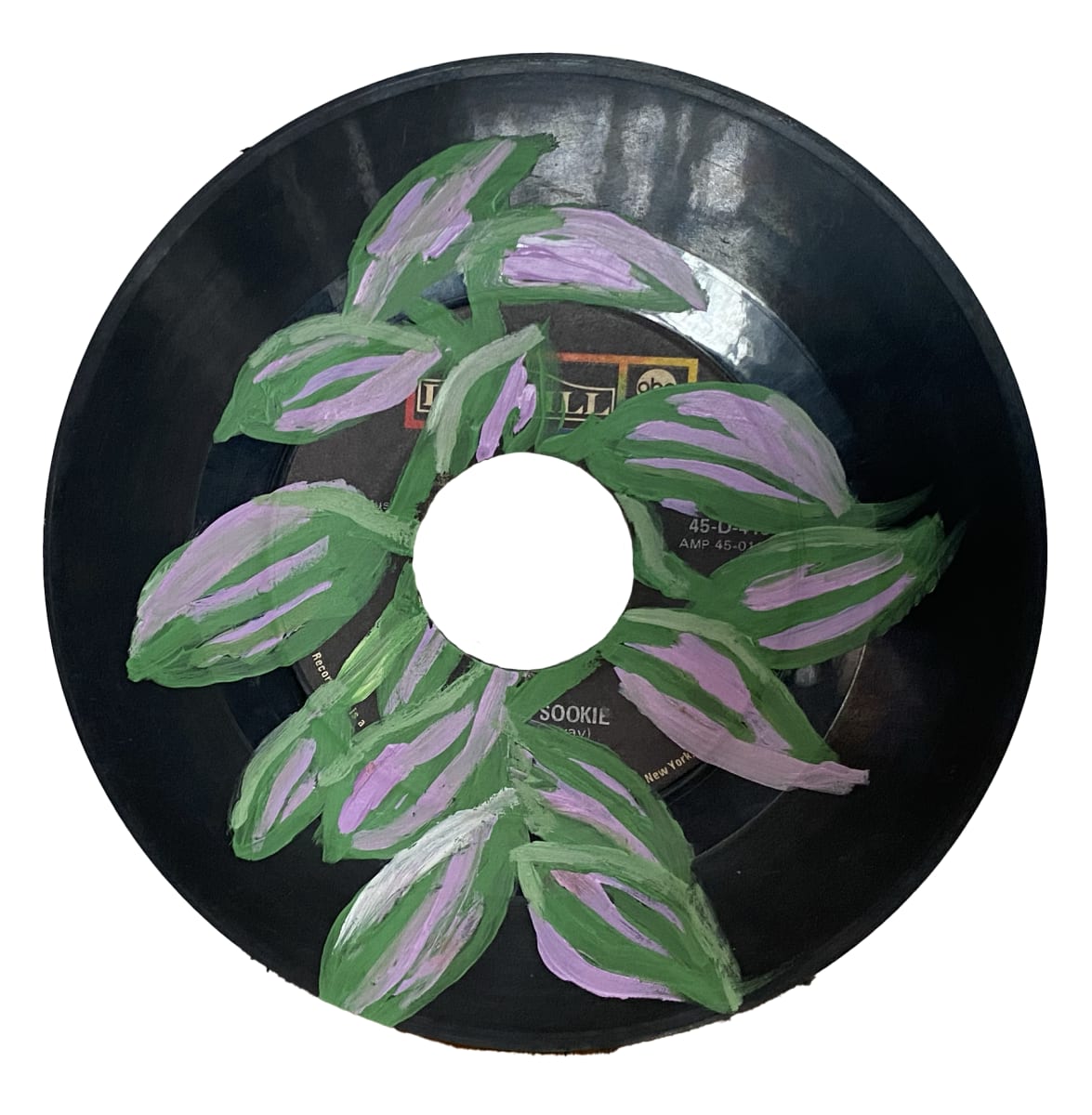 Tradescantia 