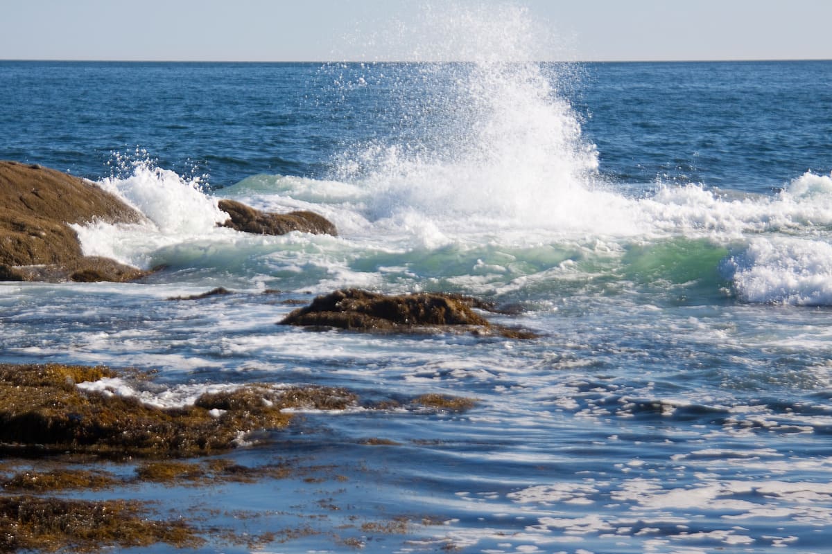 Ocean Spray, Pemaquid Point, Maine by Barbara French Pace 