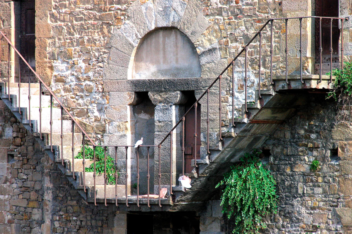 Ancient Tower with Doves, Florence, Italy by Barbara French Pace 