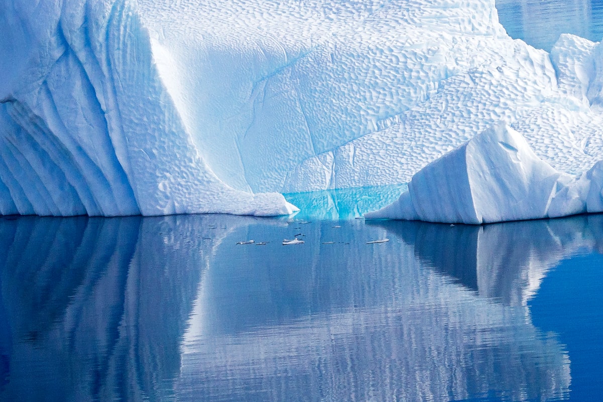 Tranquil Beauty, Paradise Bay, Antarctica by Barbara French Pace 