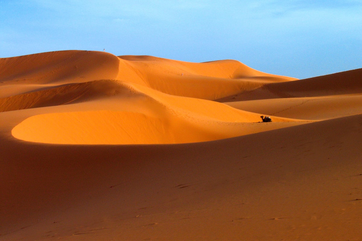 Desert Solitude, Morocco by Barbara French Pace 