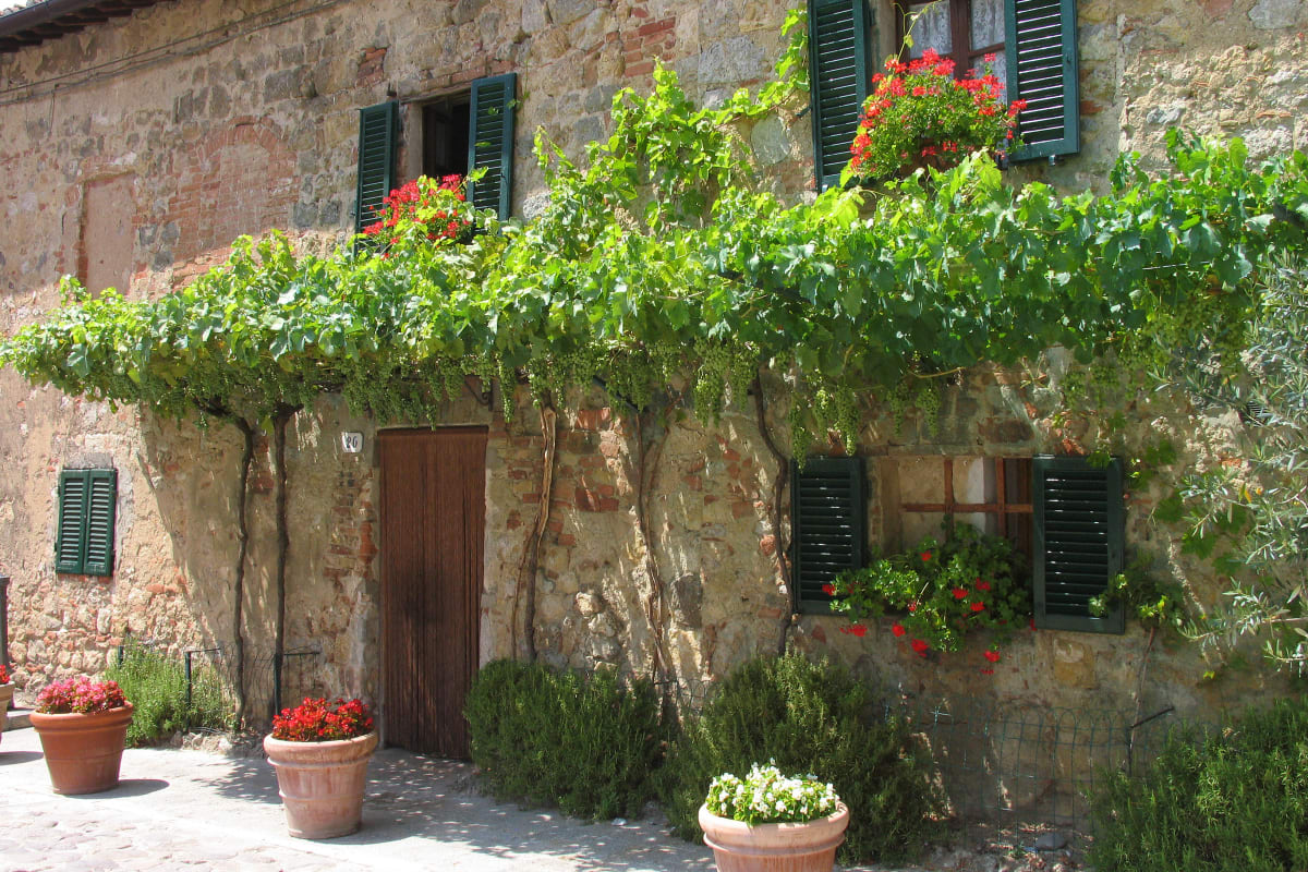 Montereggione Arbor, Italy by Barbara French Pace 