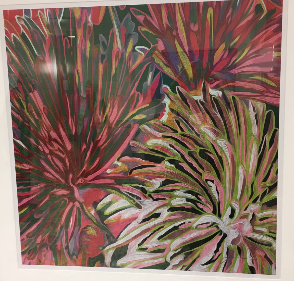 Petals, Image 1.