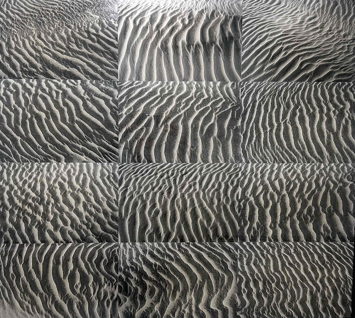 Windtracks (Ossabaw) by Athena Tacha 