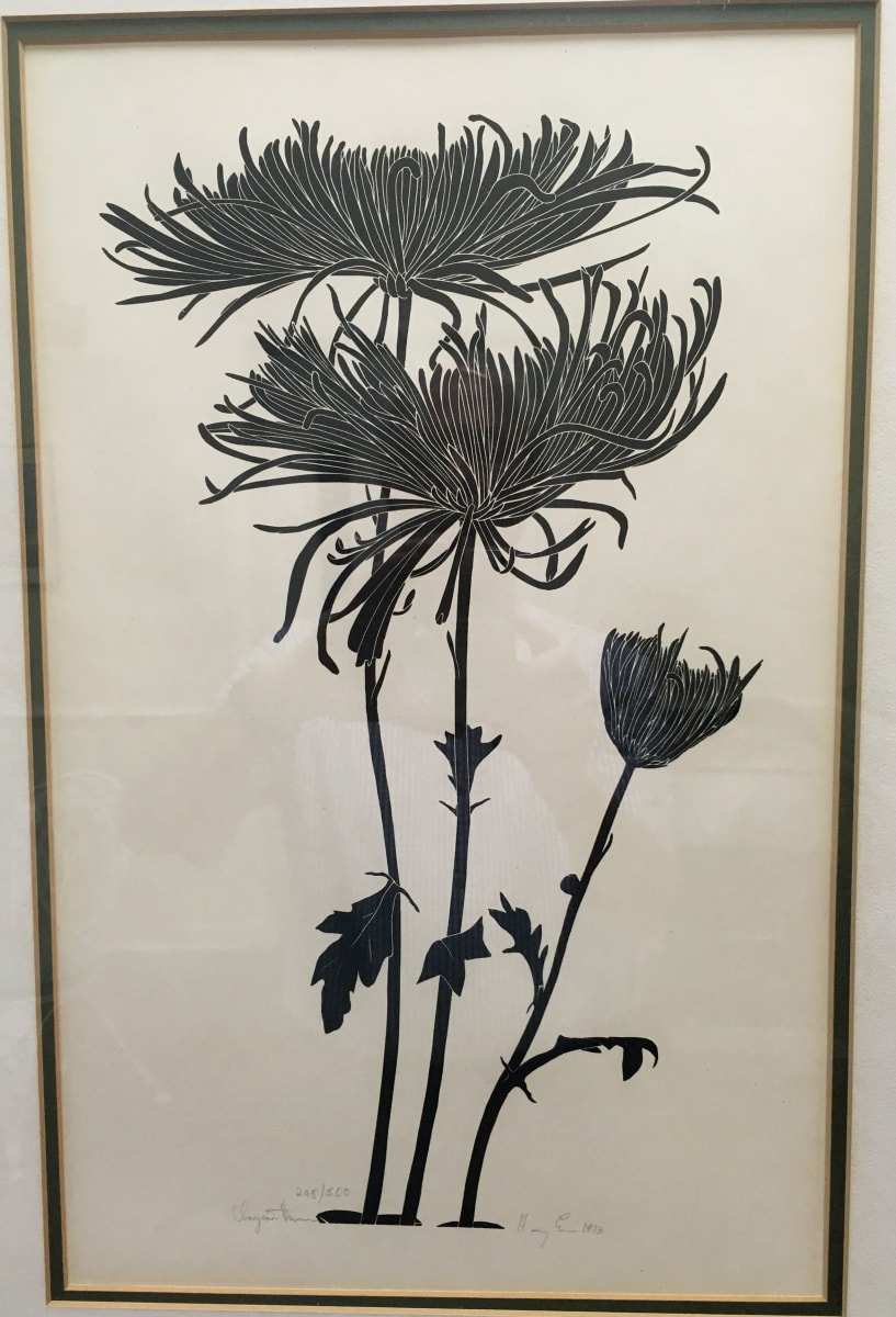 Chrysanthamum by Henry E 