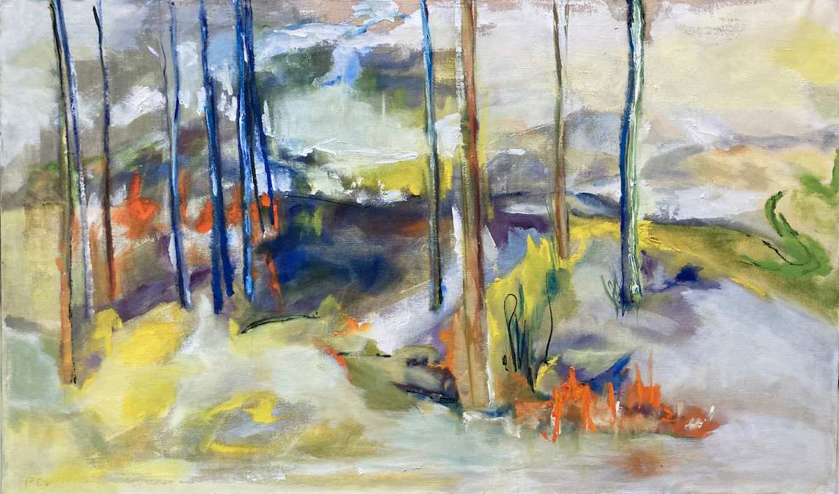 Colors in the Snow by Paula Eisner 