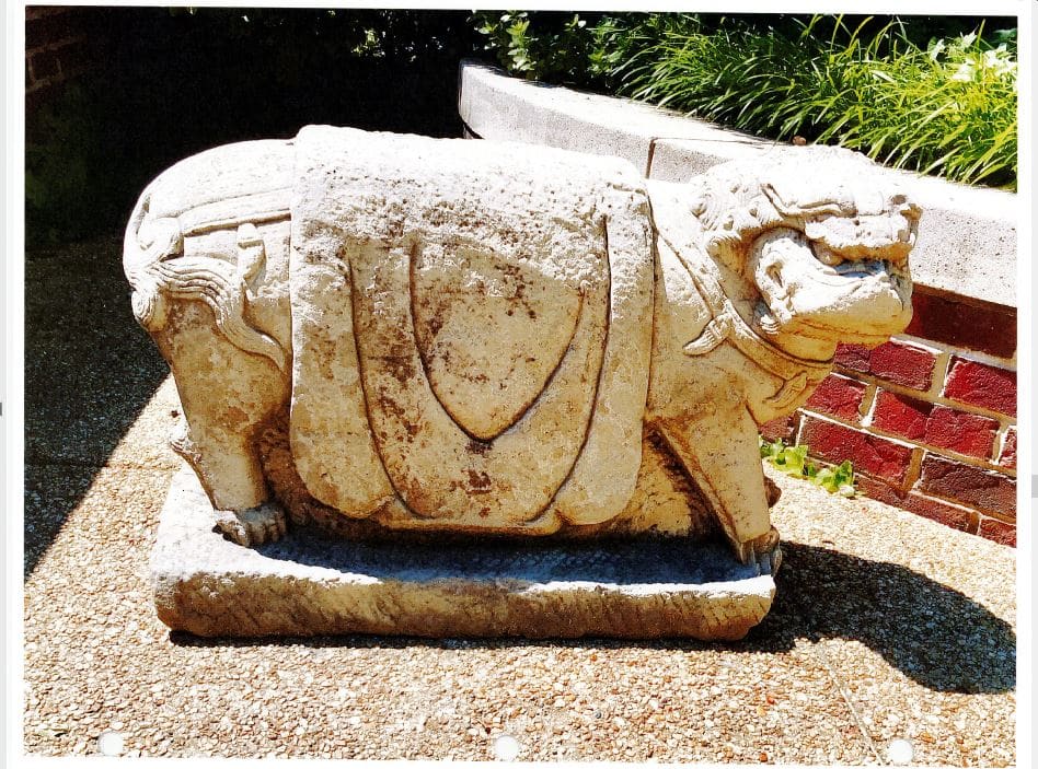 Lion, Image 1.
