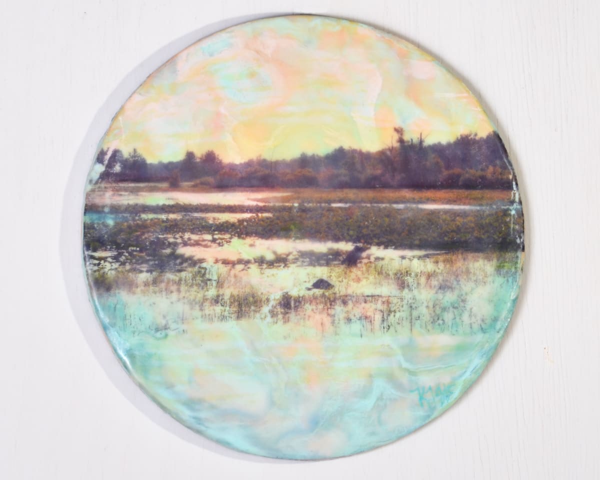 Ecosystem 1, Image 1.