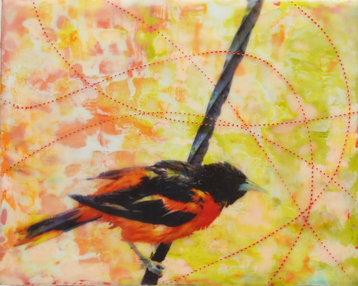 Flight Path by Kristianne Tefft, Image 1.