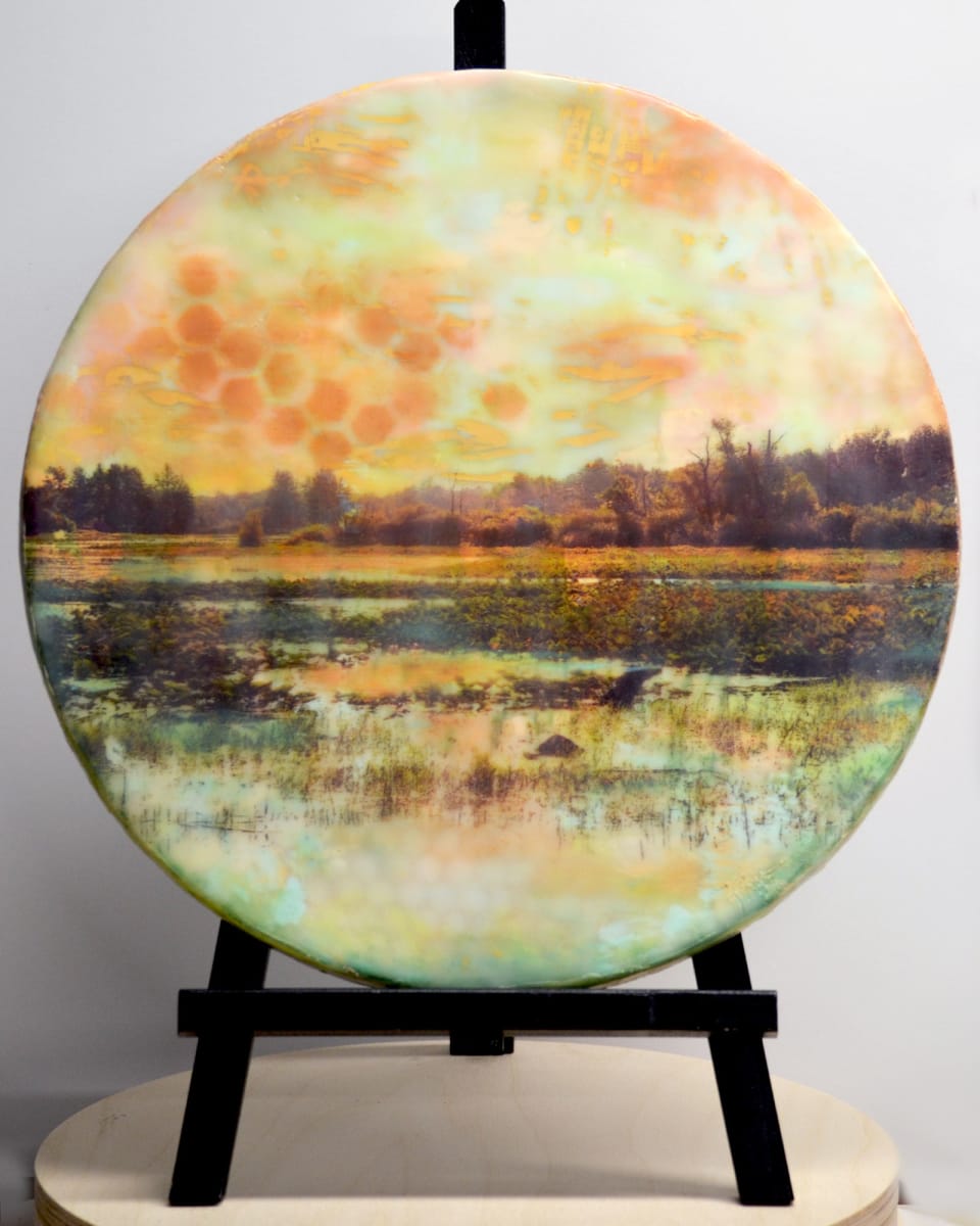 Hex Marsh by Kristianne Tefft, Image 1.