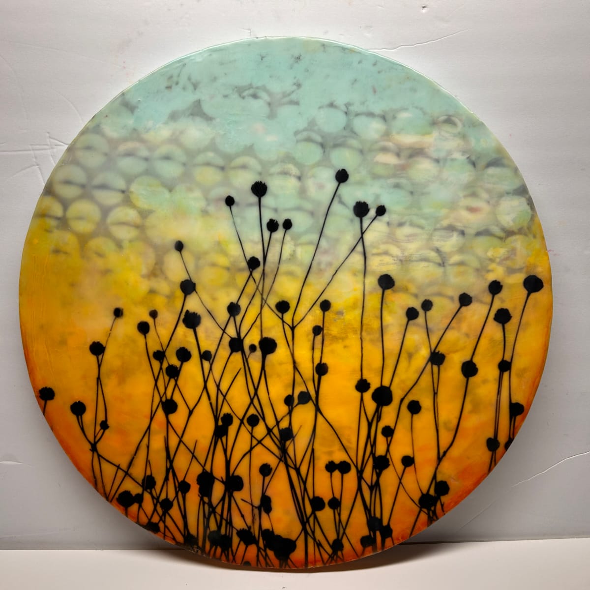 Sunny Side by Kristianne Tefft 