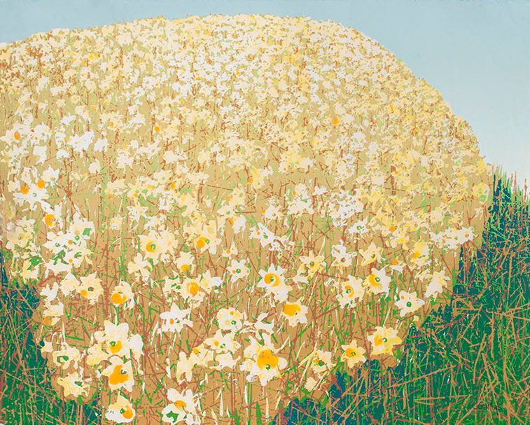 Daffodil Hill by Janet Gallup 