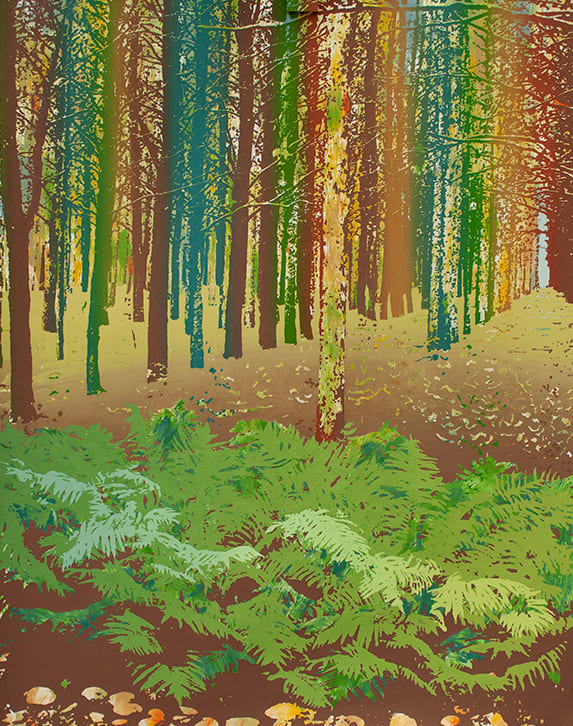 Through The Woods (Left) by Hannah B for Janet Gallup 
