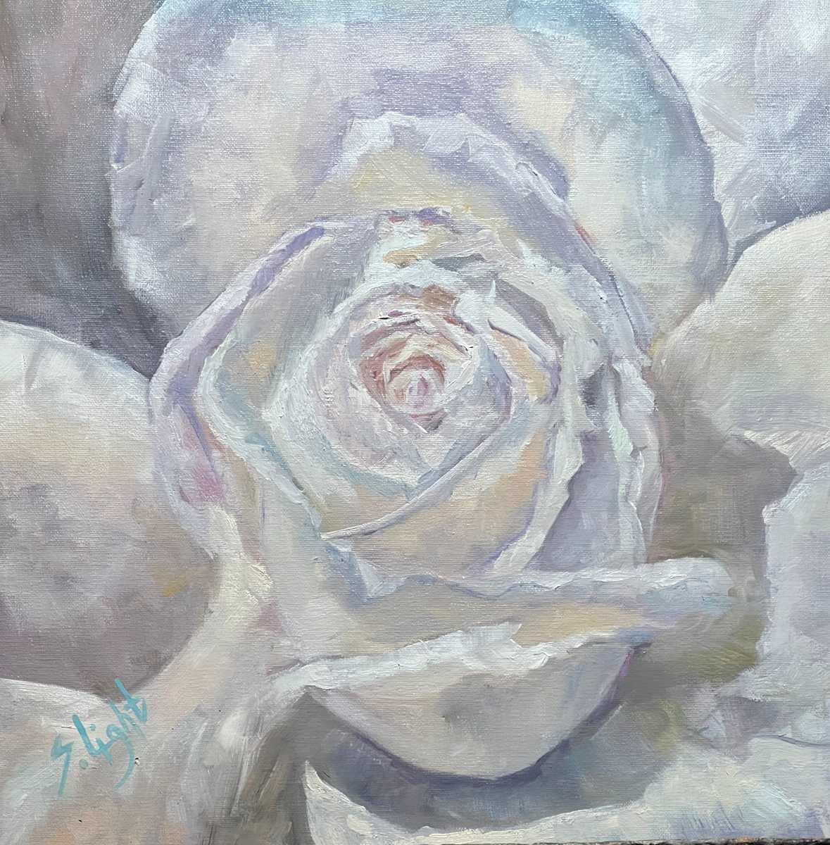Anew by Shirley  Light, Image 1.