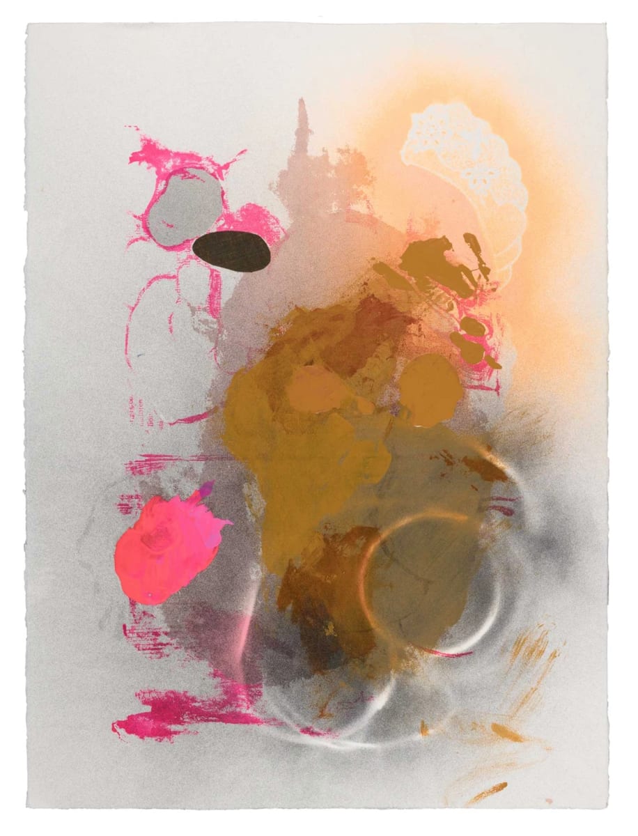 Nature Studies (pink splat, canula shadow) by Bobbi Meier 