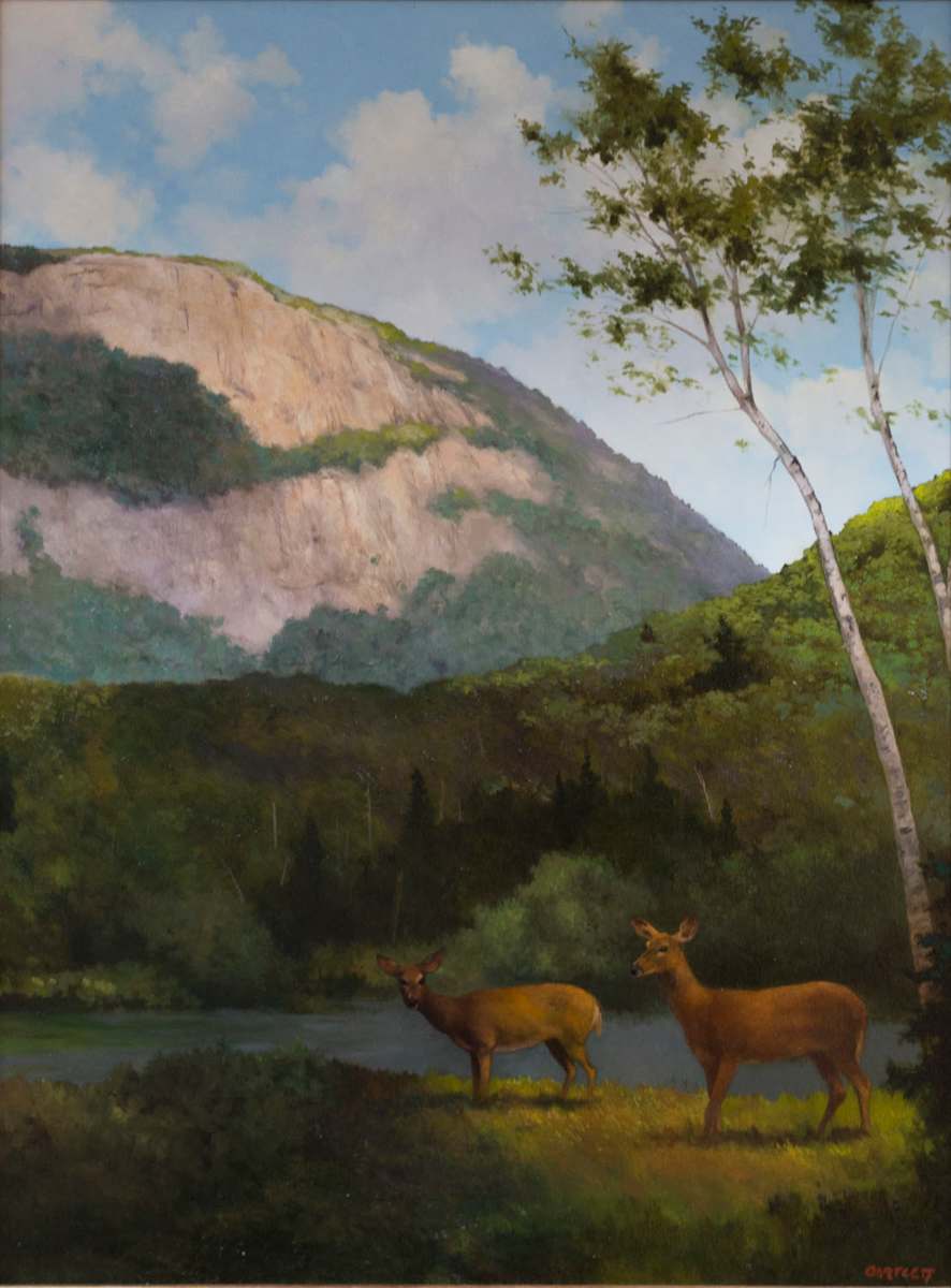 Two Deer by Harley Bartlett, Image 1.