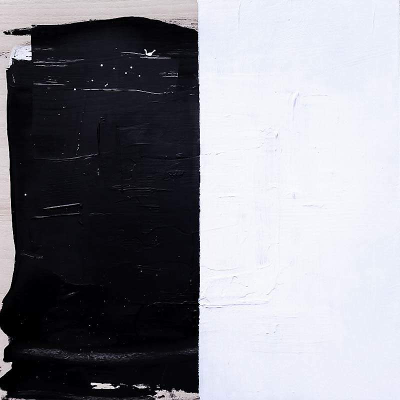 Yin Yang I by Juliet Parks 