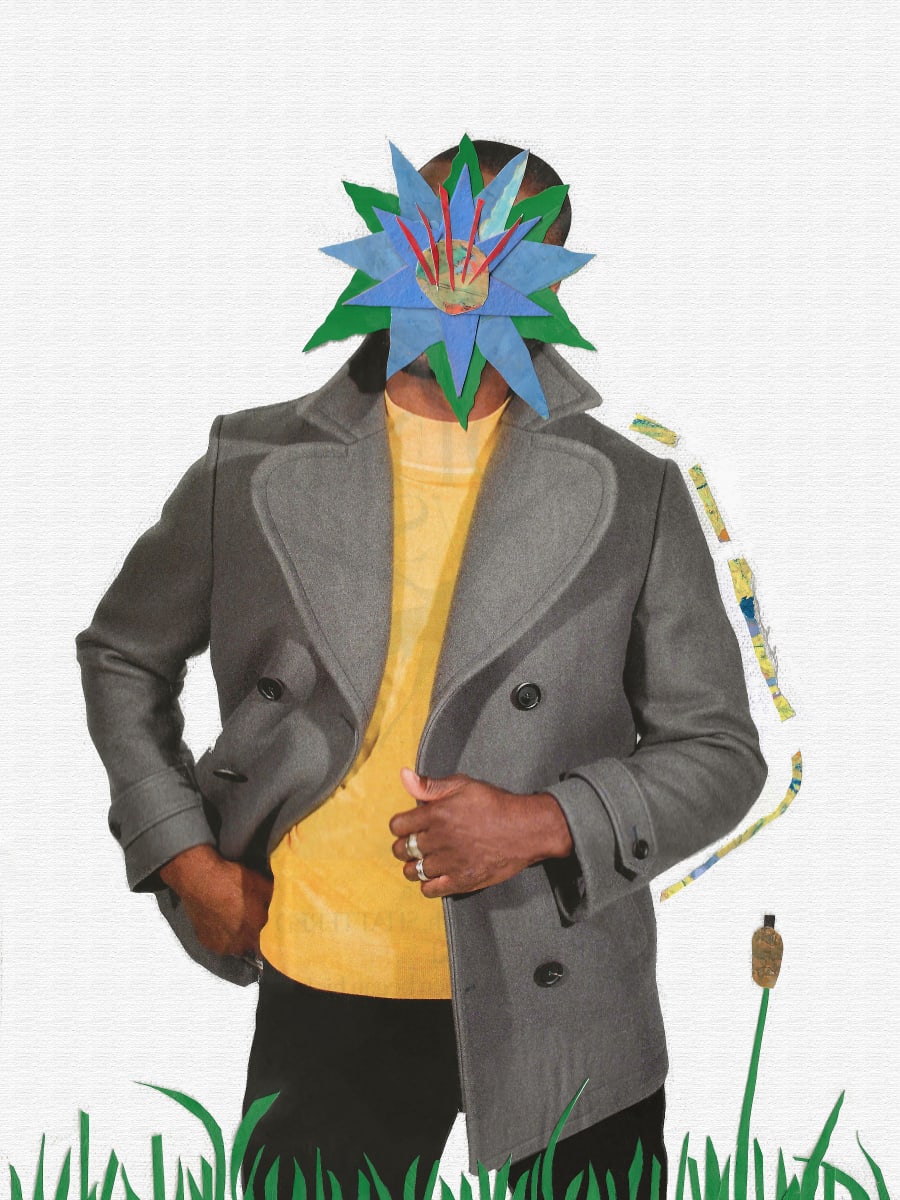 Lily by Christopher Murphy 