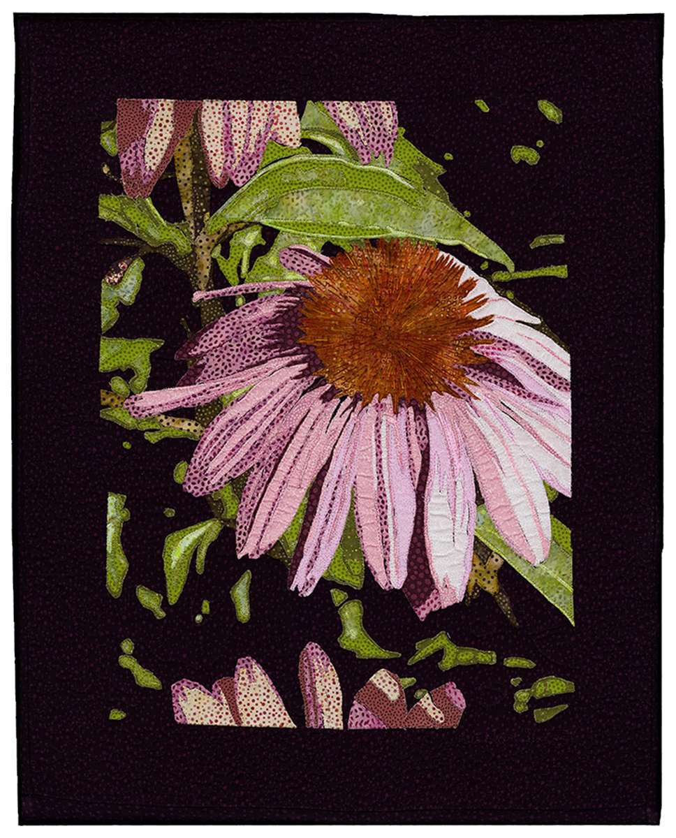 Echinacea by Kathleen McCabe 