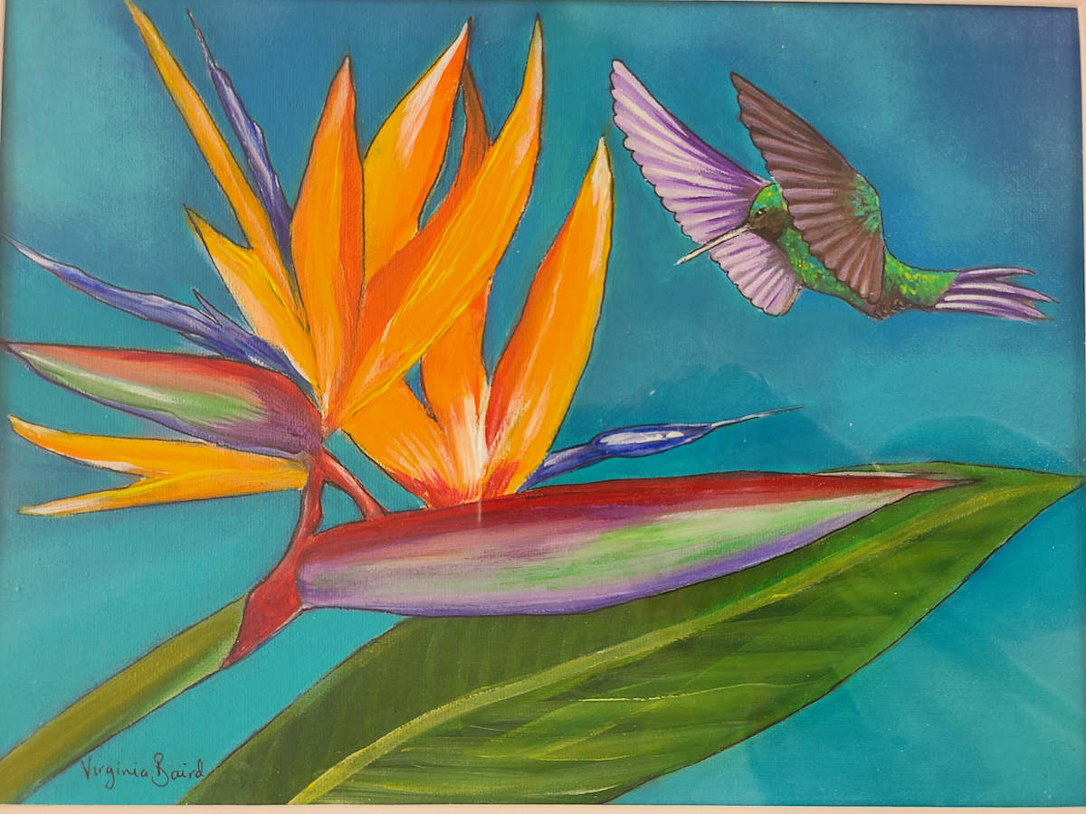 Birds of Paradise by Virginia Baird 