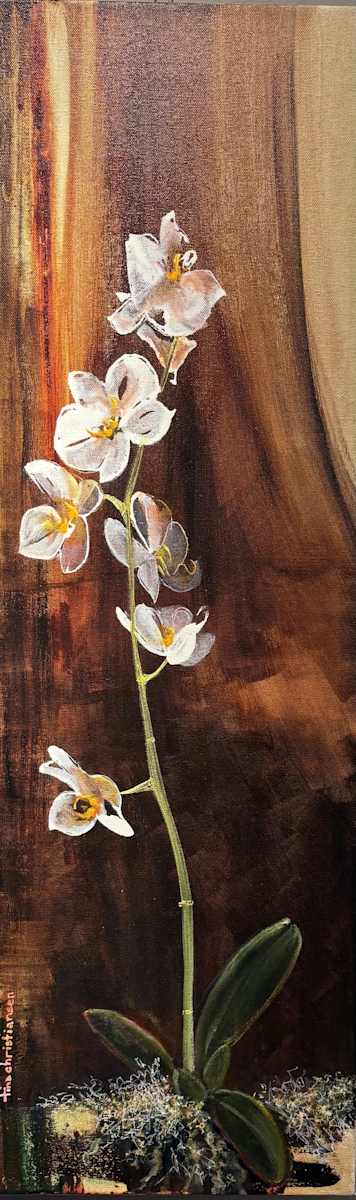 Orchid by Tina Christiansen 