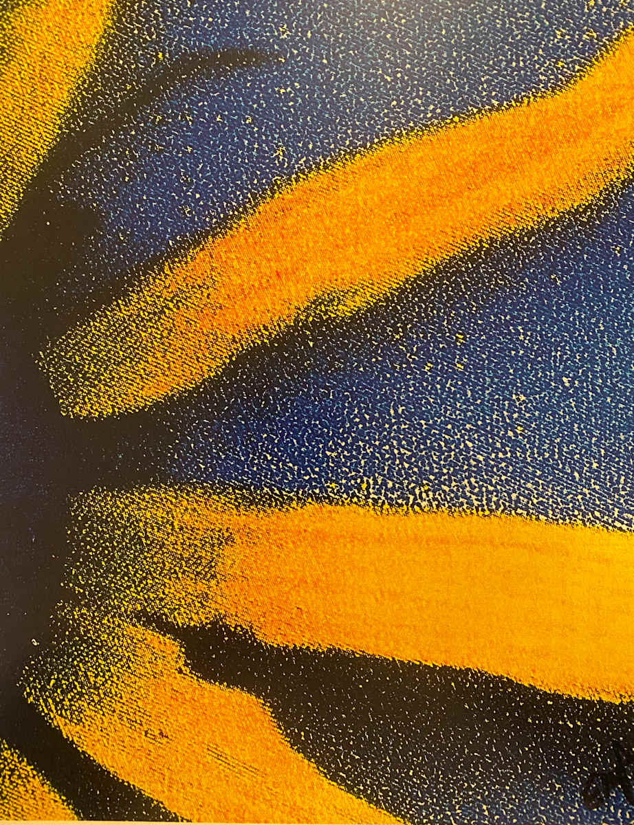 Escape Claws by Eddie Pietrzak, Image 8.