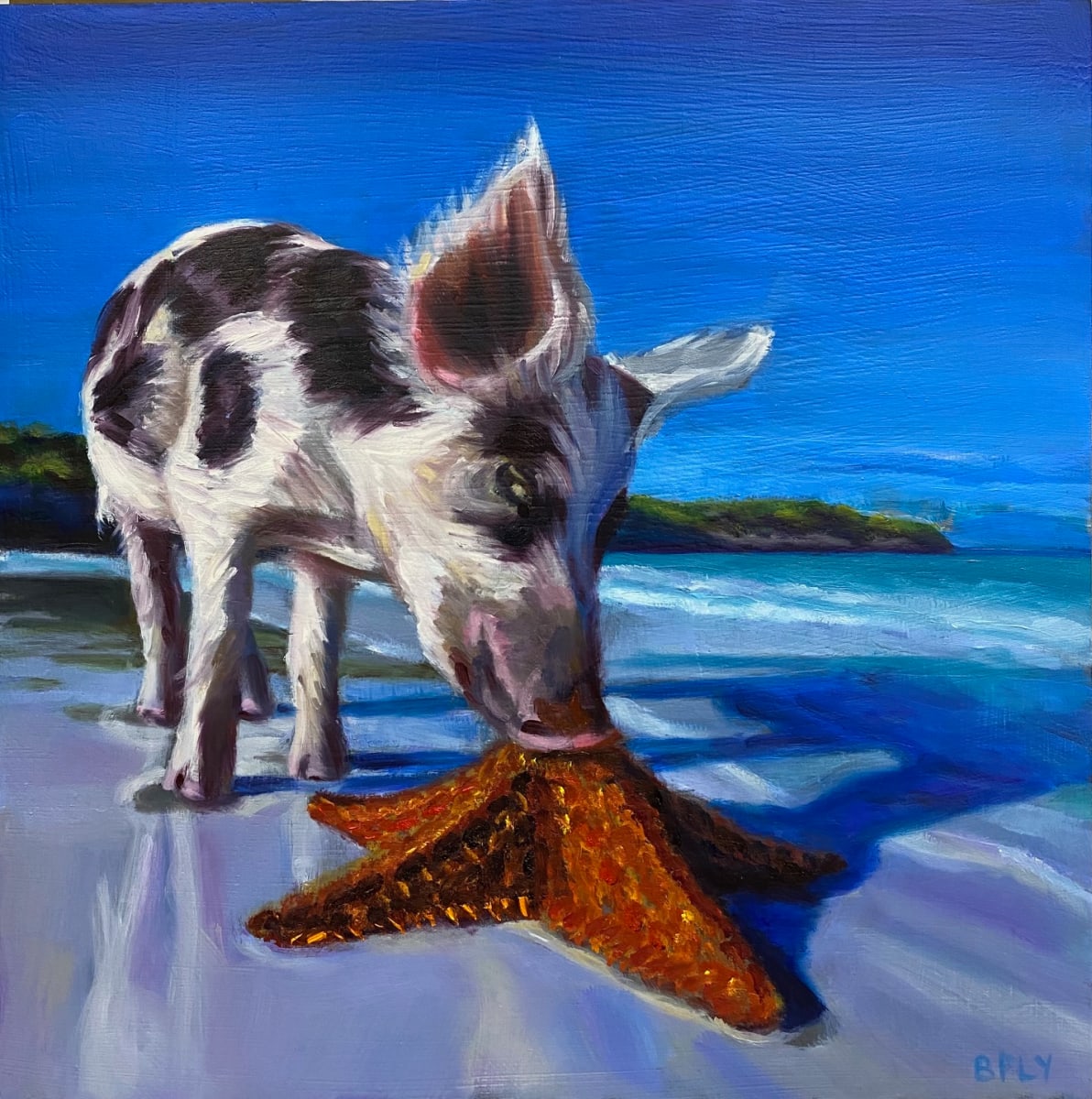Starfish and Pig by Susan Butterfly-Ebert 