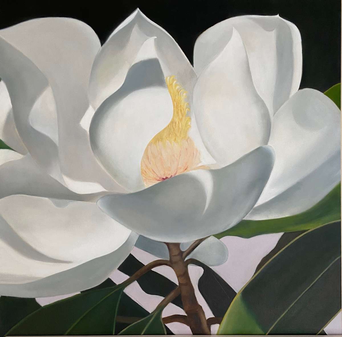 Magnolia #2 by Carol Young 