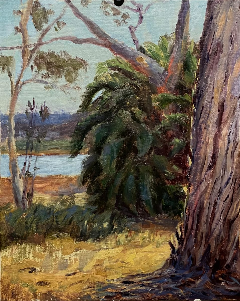 Batiquitos Eucs & Date Palm by Nathan McCall 