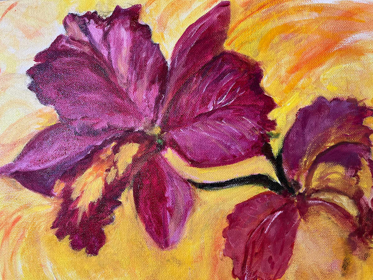 Orchid Volcano by Joan Nies 