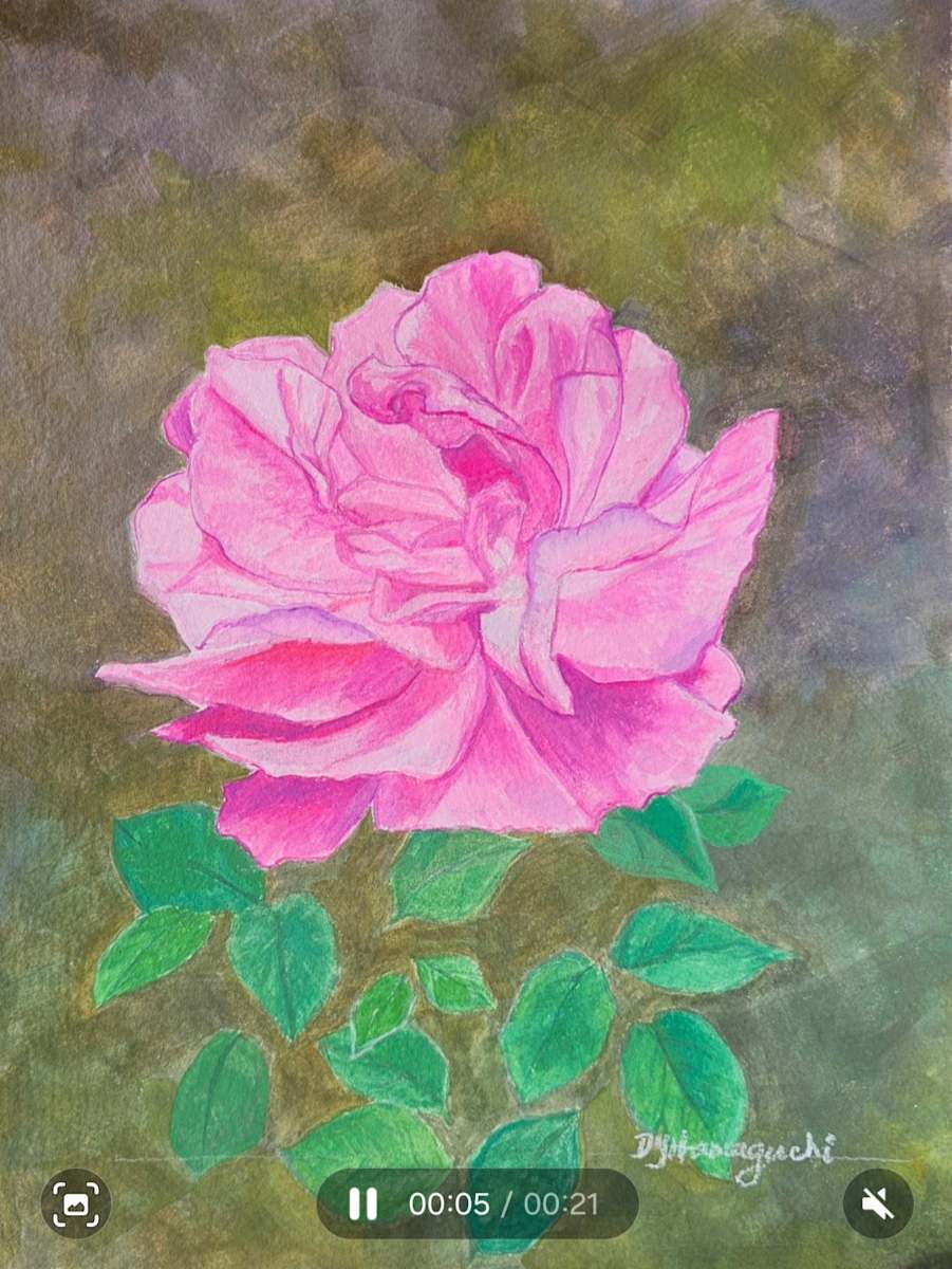 Pink Rose by Deidre Hamaguchi 