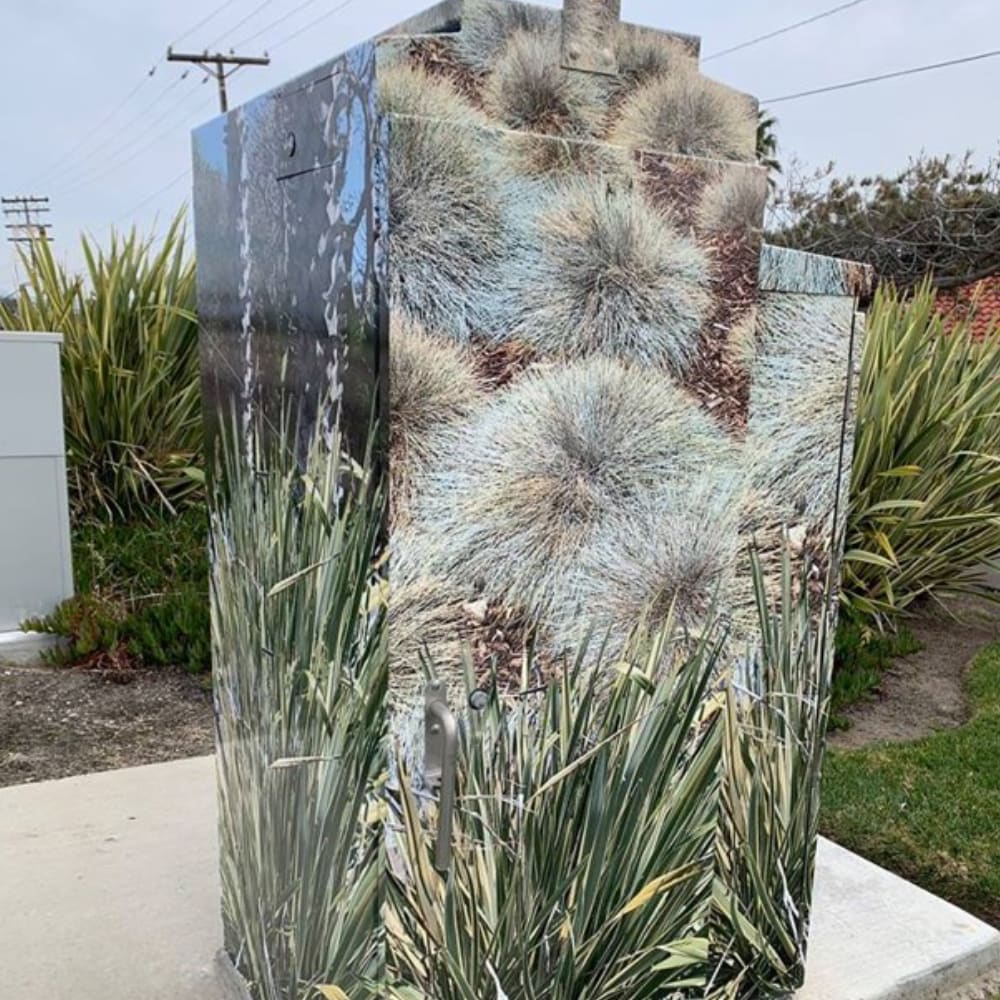 Loews Flora by Jody Esquer 