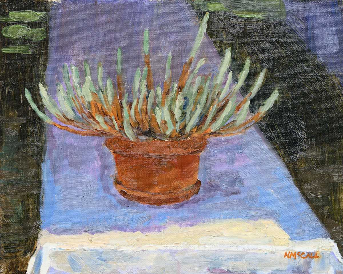 Flower Show Succulent by Nathan McCall 