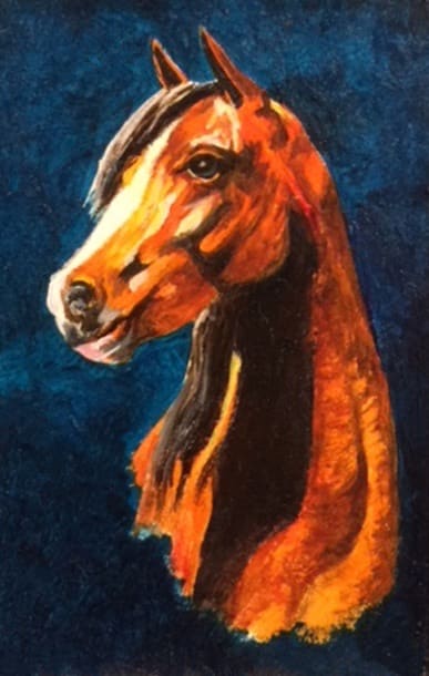 bay arabian portrait by Debi Davis 