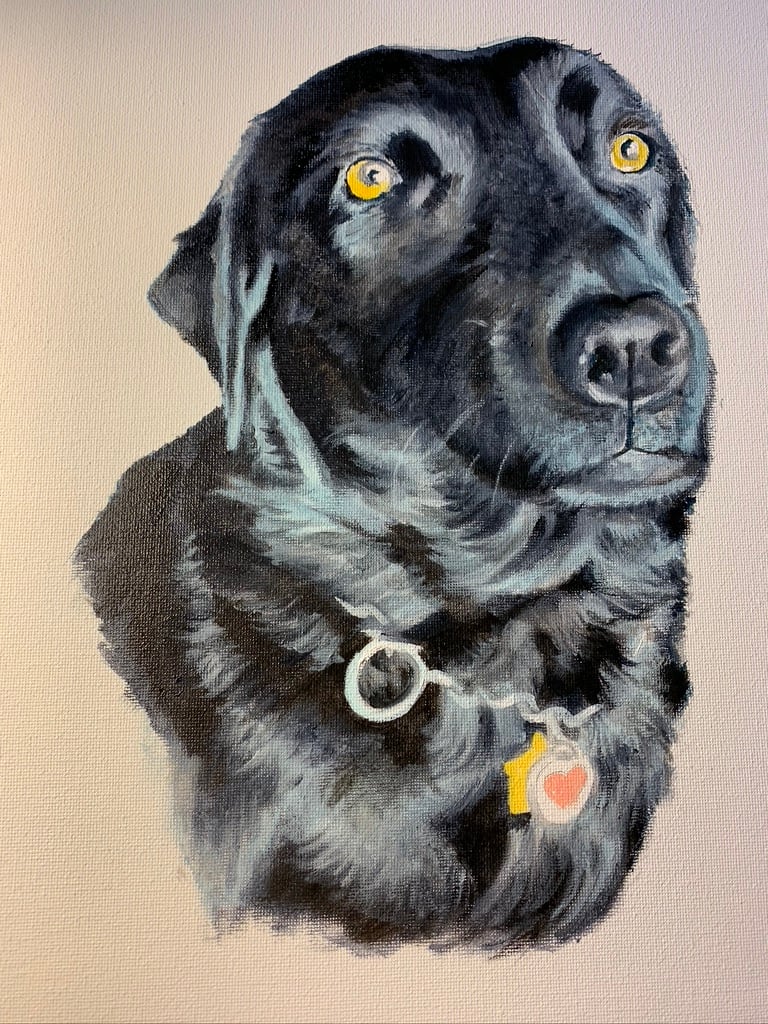 Brack portrait by Debi Davis 