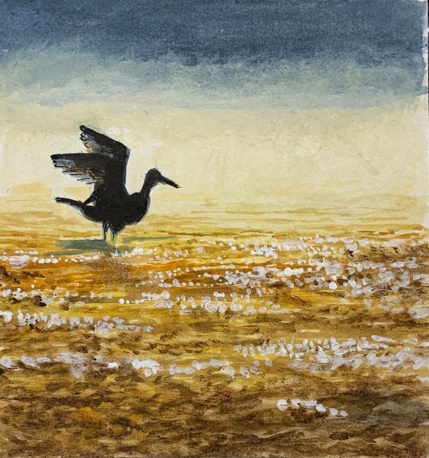 Fishin' Hole? by Debi Davis 