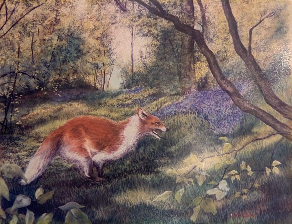 Fox #4-Spring 