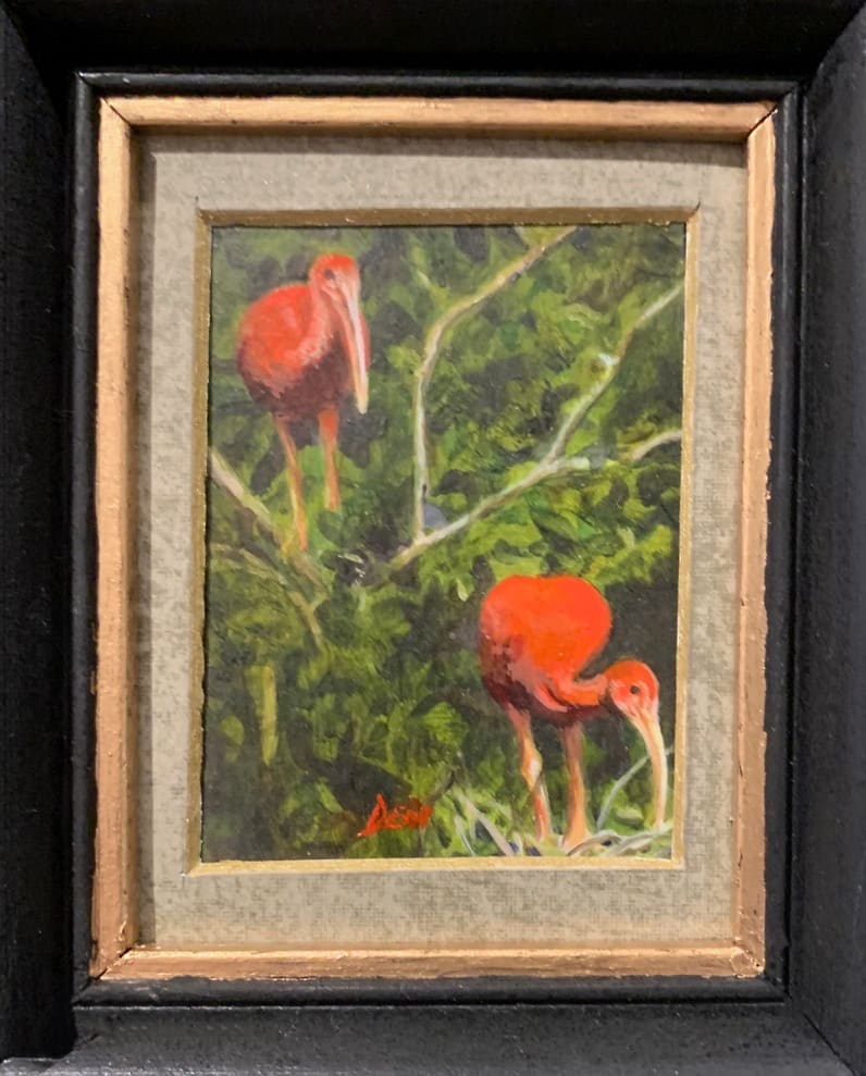 Scarlet Ibises by Debi Davis 