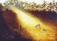 Dawn by Debi Davis, Image 1.