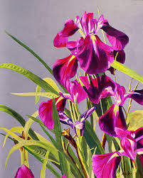 Pond Irises by Debi Davis, Image 1.