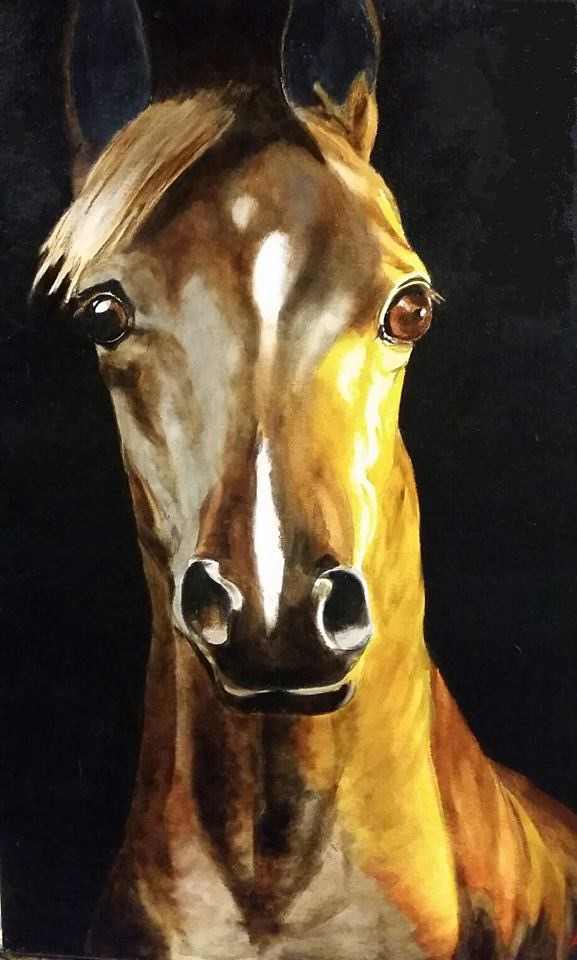 Bright Eyes by Debi Davis, Image 1.