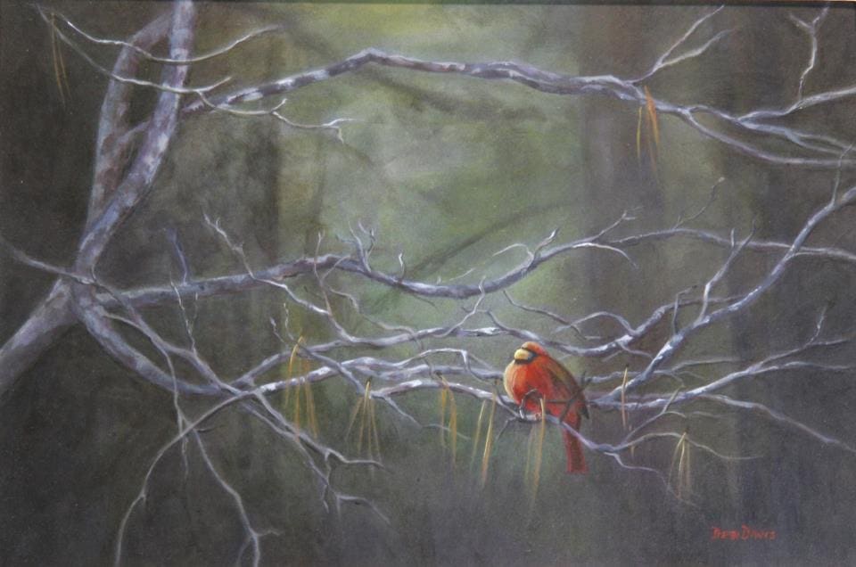 Cardinal Dogwood by Debi Davis, Image 1.