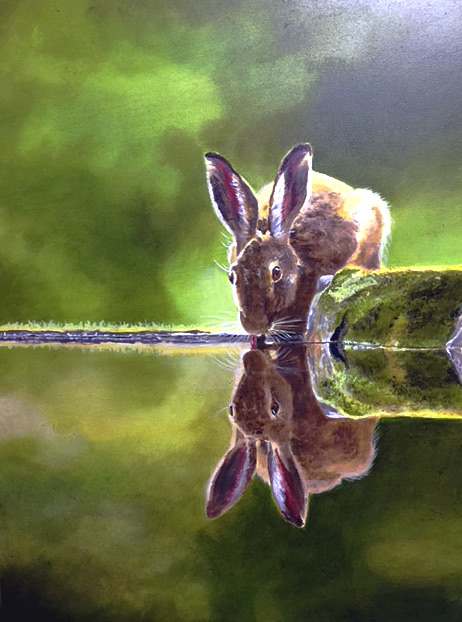 Thirsty Hare by Debi Davis, Image 1.