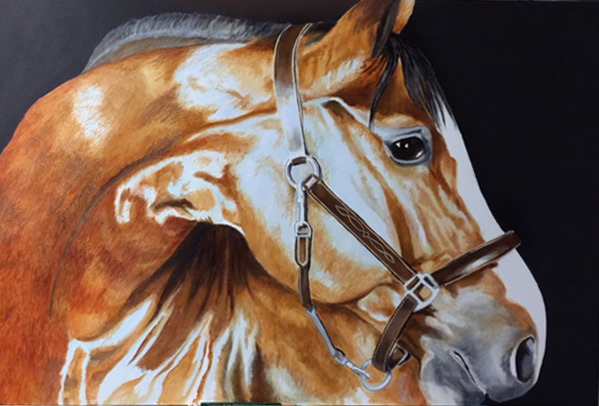 the New Halter by Debi Davis, Image 1.